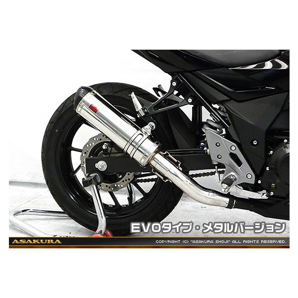 TTR^Cv}t[ EVO^Cv ^o[W ASAKURAiqj GSX250Ri2BK-DN11Aj