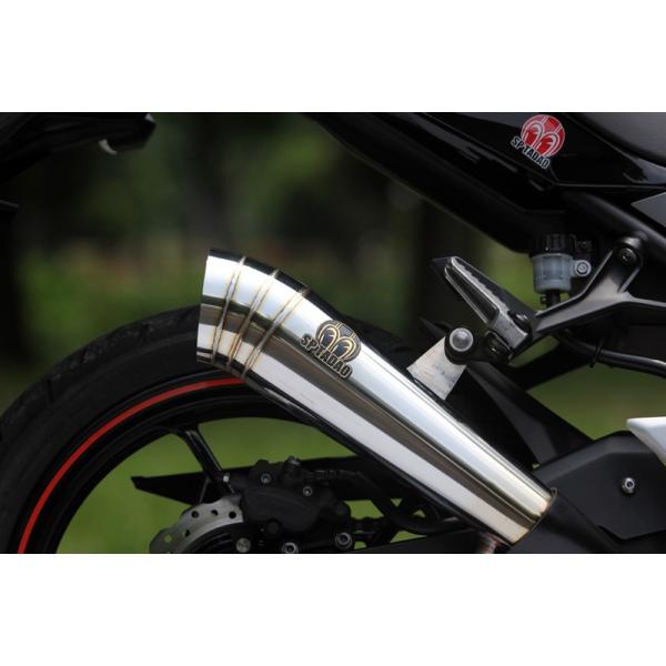 p[{bNX Kz }t[ SPjiSP TADAOj Ninja250ijW250j2BK-EX250P