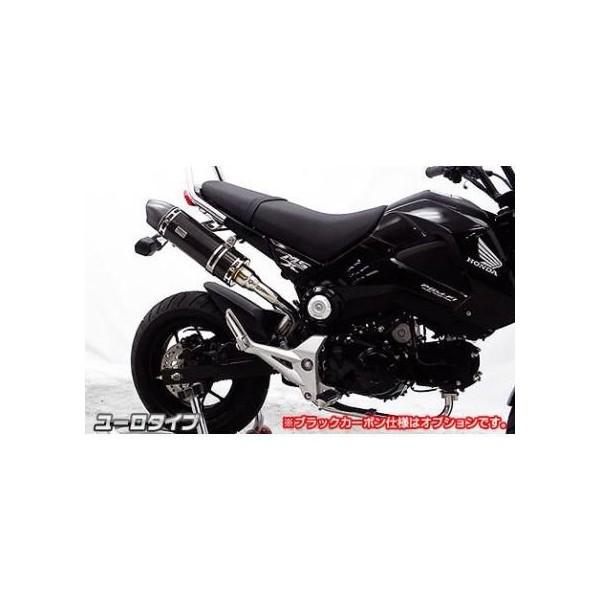 Grom グロム 1型 13 15年 ロイヤルマフラー ユーロタイプ ブラックカーボン フルエキゾースト ウイルズウィン Wiruswin W4 1303 053 バイク メンテ館 通販 Yahoo ショッピング