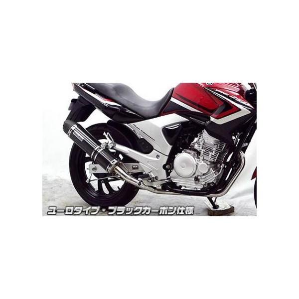 YBR250i^FPCNLDj _Ci~bN}t[ [^Cv ubNJ[{dlitGL][Xgj ECYEBiWirusWinj