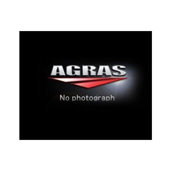 AX^htbN K^ AGRASiAOXj Ninja400ijW400j18N