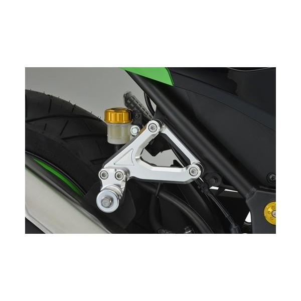 Ninja250ijWj13N }t[Xe[ AGRASiAOXj