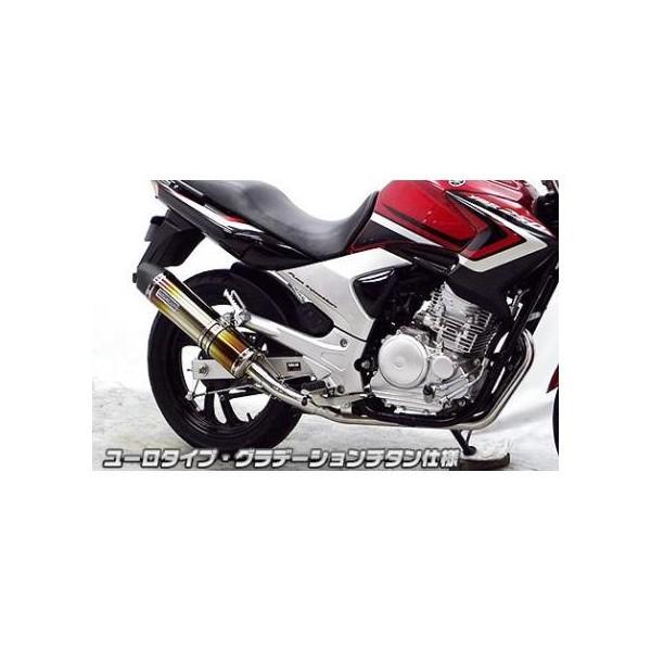 YBR250i^FPCNLDj _Ci~bN}t[ [^Cv Of[V`^dlitGL][Xgj ECYEBiWirusWinj