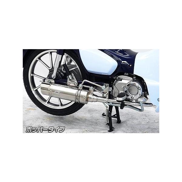 C}t[ |bp[^Cv XeX ECYEBiWirusWinj X[p[JuC125i8BJ-JA58j