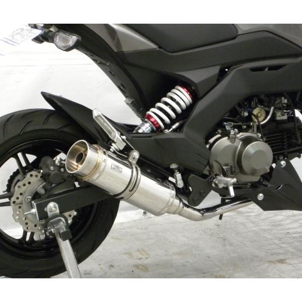 Z125PROivj2BJ-BR125H C}t[ oY[J[^Cv tGL][Xg}t[ XeX ECYEBiWirusWinj