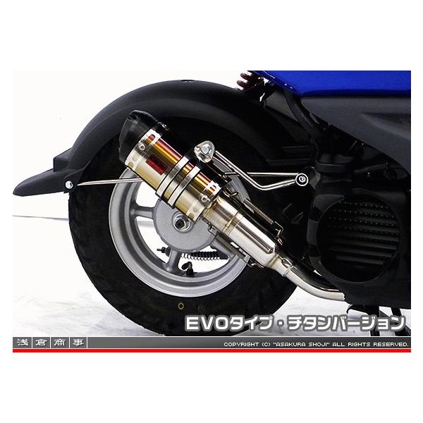 ZZR^Cv}t[ EVO^Cv `^o[W ASAKURAiqj r[EBYiBWS50jSA44J