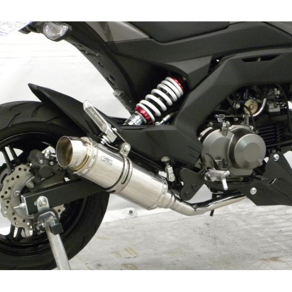 Z125PROivj2BJ-BR125H C}t[ X|[c^Cv tGL][Xg}t[ XeX ECYEBiWirusWinj