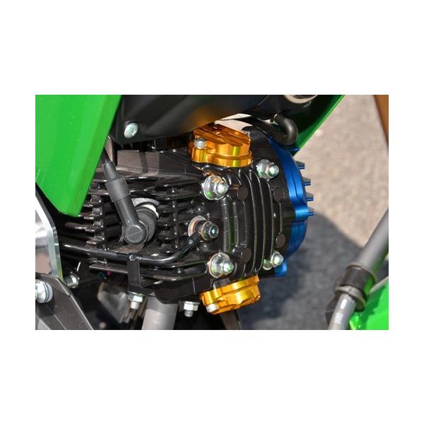 ^ybgJo[ ubN AGRASiAOXj Z125PROivj