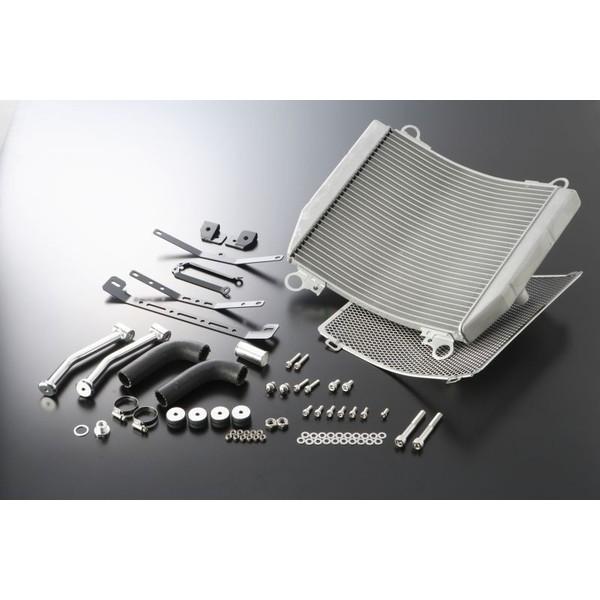 GPZ900R NinjaijWj84`03N A1`A16 rbOWG[^[Lbg iTYPE-2j Vo[ ACTIVEiANeBuj