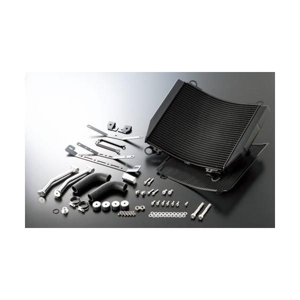 GPZ900R NinjaijWj84`03N A1`A16 rbOWG[^[Lbg iTYPE-2j ubN ACTIVEiANeBuj