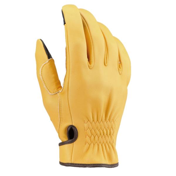 HBG-037 DKJbg V[g L LTCY HenlyBeginsiw[rMYj