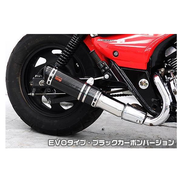 TTR^Cv}t[ EVO^Cv ubNJ[{o[W ASAKURAiqj G~l[^[250ViO^j