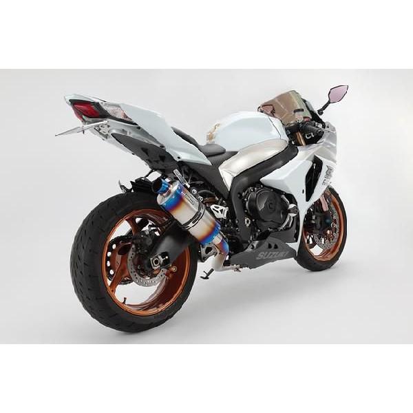 GSX-R1000i2009N`2010Nj VFCvXNGAq[g`^ XbvI}t[ BMS-Rir[Xj