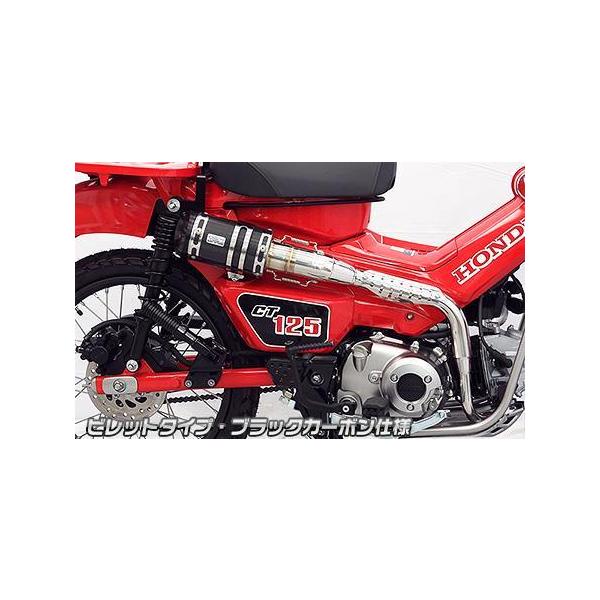 Abv}t[ rbg^Cv ubNJ[{dl ECYEBiWirusWinj CT125n^[Jui2BJ-JA55j