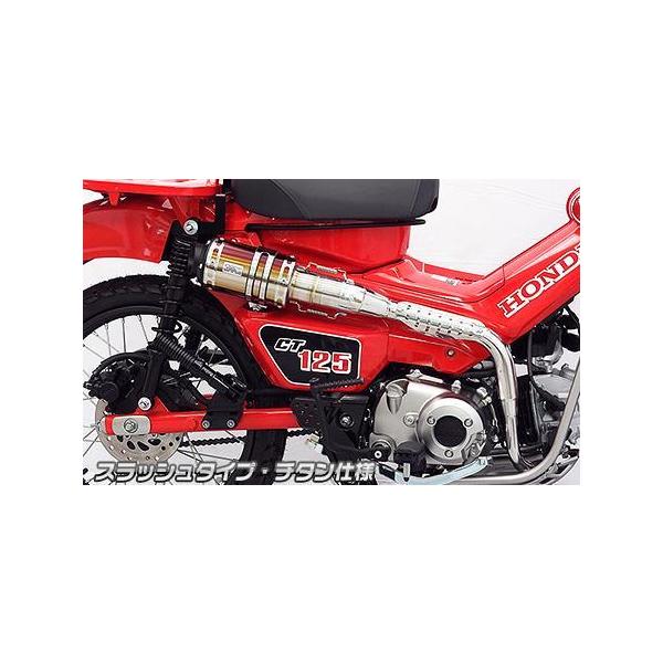 Abv}t[ XbV^Cv `^dl ECYEBiWirusWinj CT125n^[Jui2BJ-JA55j