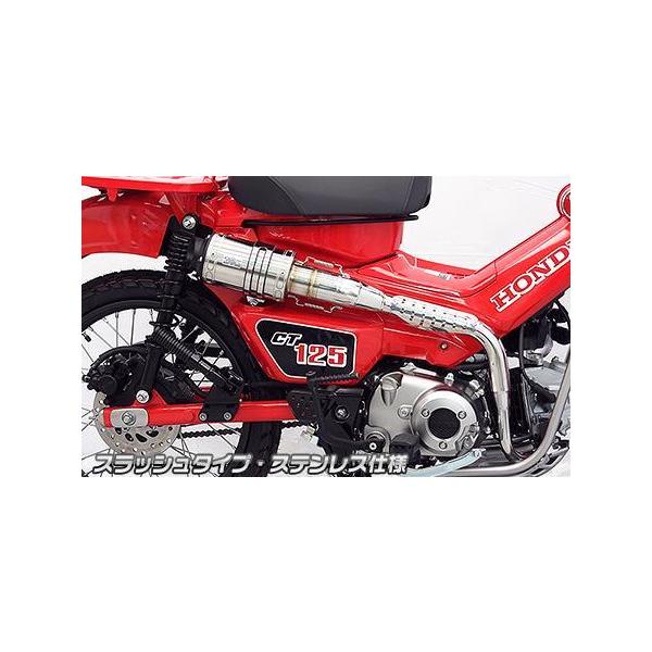 Abv}t[ XbV^Cv XeXdl ECYEBiWirusWinj CT125n^[Jui2BJ-JA55j