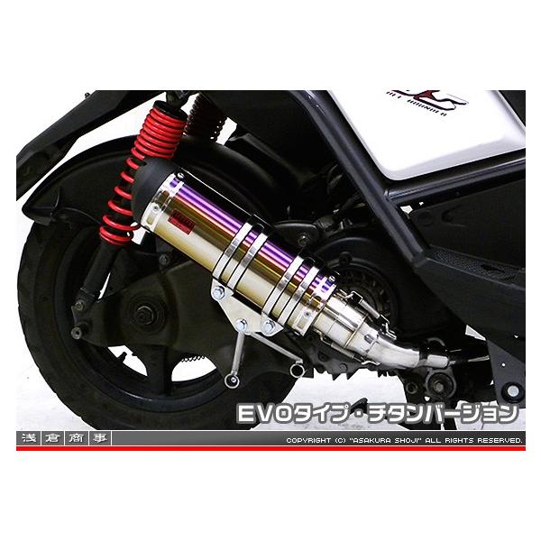 r[EBYiBWS125jLPRSE45 DDR^Cv}t[ EVO^Cv `^o[W ASAKURAiqj