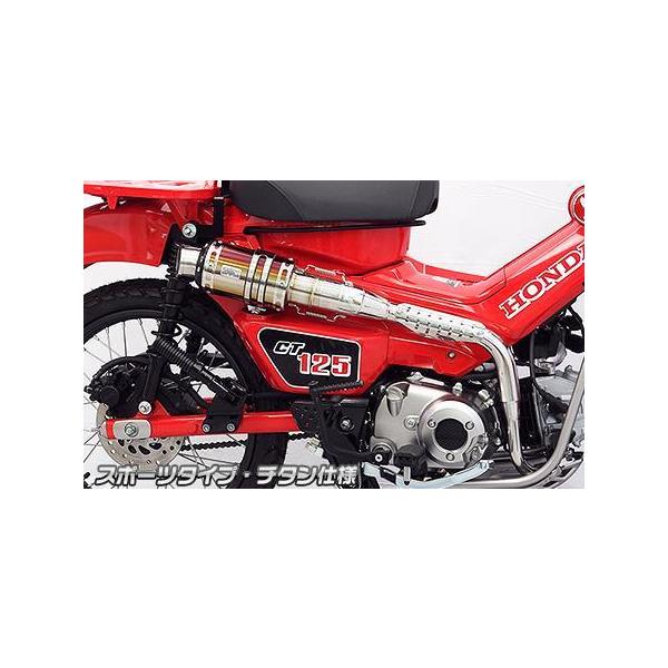 Abv}t[ X|[c^Cv `^dl ECYEBiWirusWinj CT125n^[Jui2BJ-JA55j