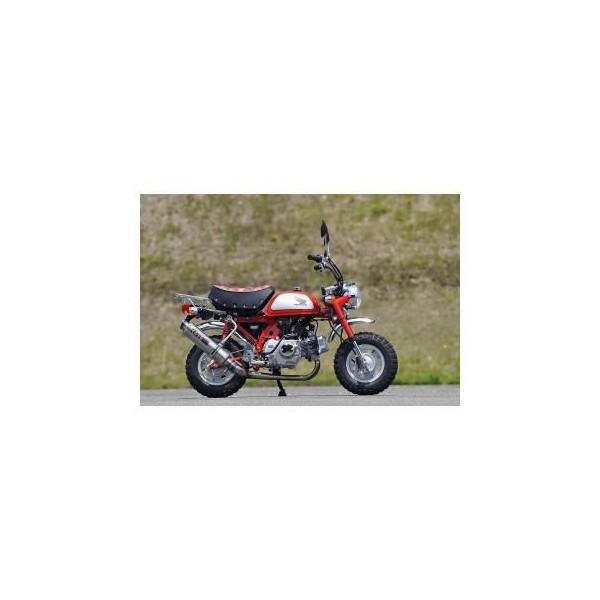 GP-PERFORMANCE t`^ iGP-PERFORMANCE Full Titaniumj OVER RACINGiI[o[[VOj L[iMONKEYj