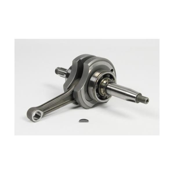 NNVtgCOMP.iR^Cvj SPiTAKEGAWAj L[iMONKEYj