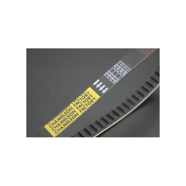 Xg[g}WbN50iSTREET MAGICj ptH[}XVxg chameleoniJIt@Ng[j