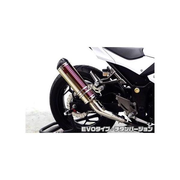 Ninja250ijWjJBK-EX250L TTR^Cv}t[ EVO^Cv `^o[WiXbvIj ASAKURAiqj