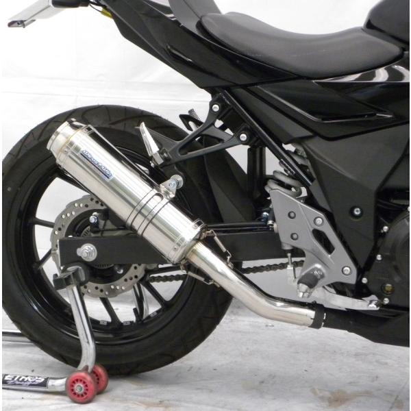 XbvI}t[oY[J[^Cv XeX ECYEBiWirusWinj GSX250Ri2BK-DN11Aj