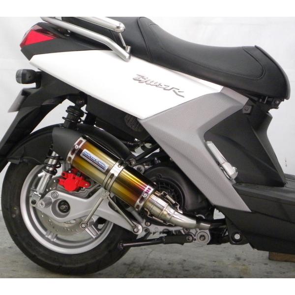 r[EBYRiBW'S R125j15N` Vbg}t[ [^Cv `^dl ECYEBiWirusWinj