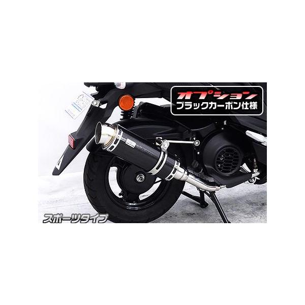 ロイヤルマフラー スポーツタイプ カーボン仕様 ウイルズウィン