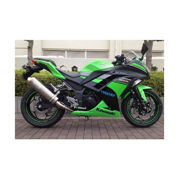 Z250iJBK-ER250Cj G{[VXbvI}t[ `^ {F؃f PENSKEiyXPj