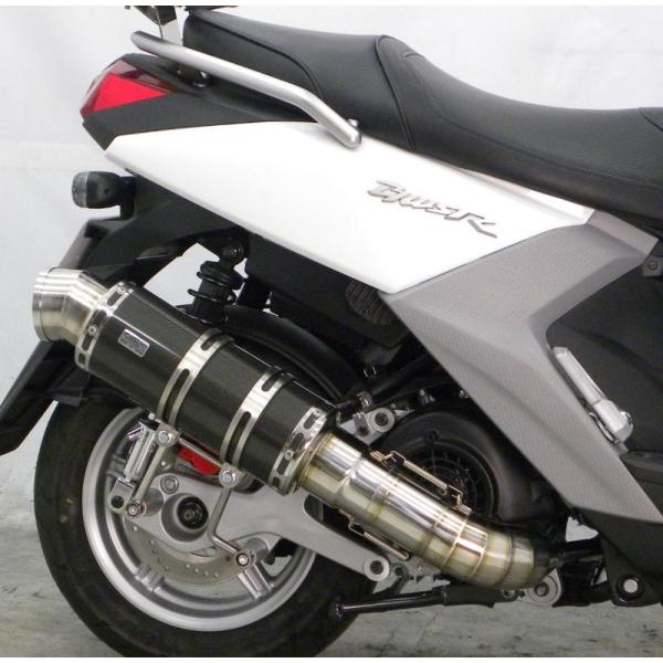 r[EBYRiBW'S R125j15N` v~A}t[ ubNJ[{dl ECYEBiWirusWinj