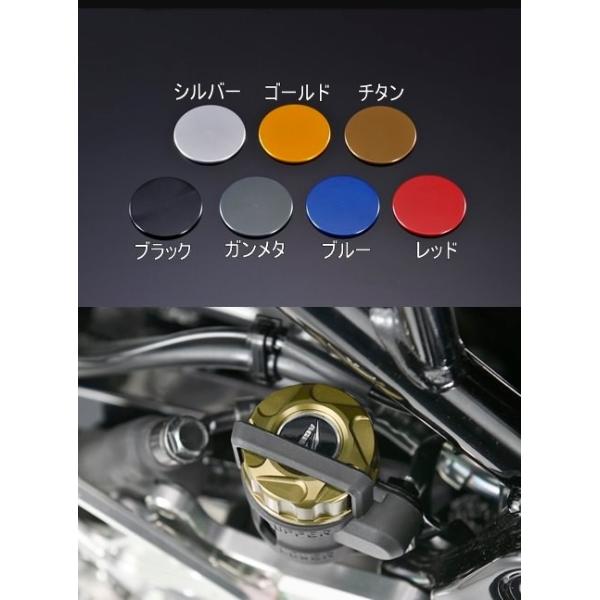 U[o[^NLbviAj ubN AGRASiAOXj Z900RSi2BL-ZR900Cj