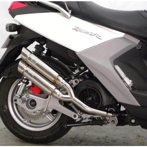 r[EBYRiBW'S R125j15N` Ag~bNcC}t[ |bp[^Cv ECYEBiWirusWinj