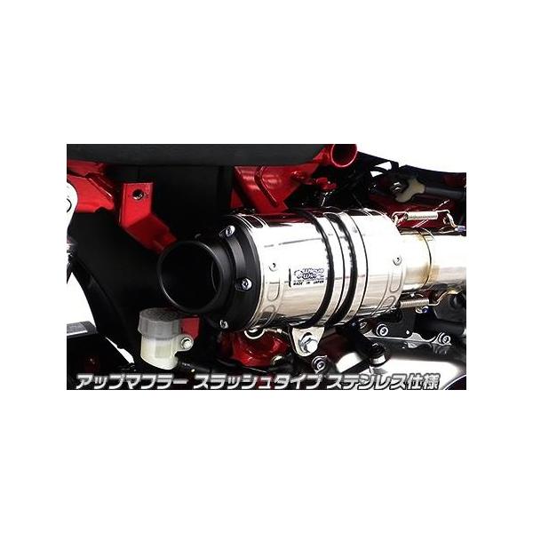 Abv}t[ XbV^Cv XeXdl ECYEBiWirusWinj L[125i2BJ-JB02j