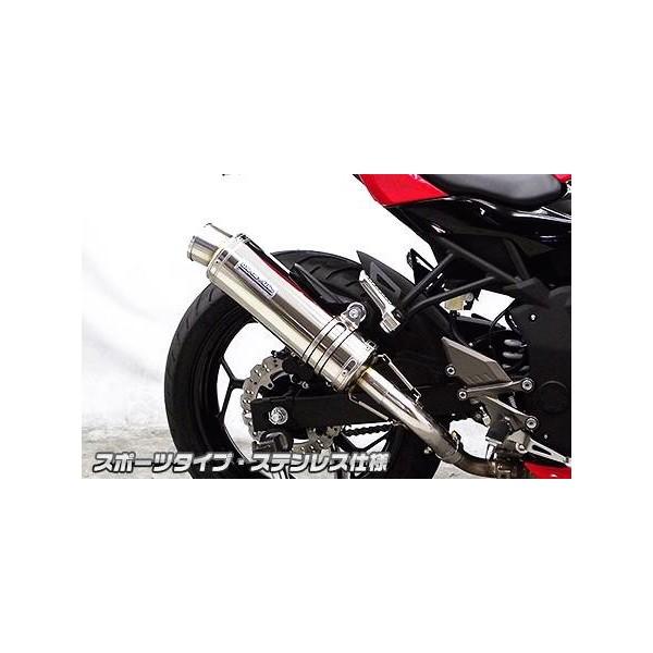 Ninja250SLijW250SLj XbvI}t[ X|[c^Cv XeX ECYEBiWirusWinj