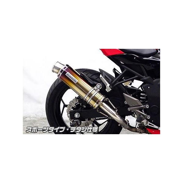 Ninja250SLijW250SLj XbvI}t[ X|[c^Cv `^dl ECYEBiWirusWinj