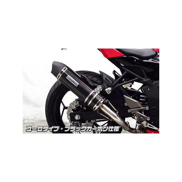 Ninja250SLijW250SLj XbvI}t[ [^Cv ubNJ[{dl ECYEBiWirusWinj