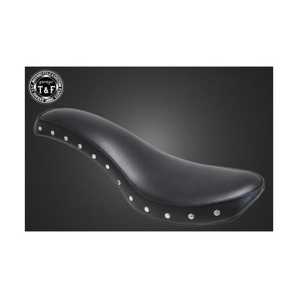 X^bhtX[XV[g K[WTF r[S250/SiVIRAGOj