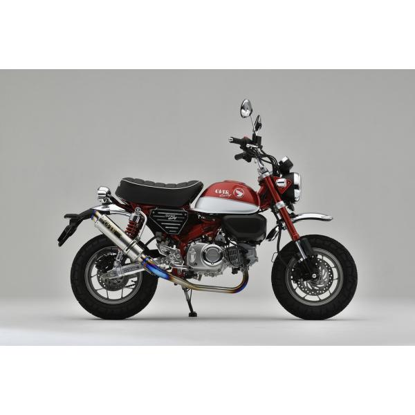 GP-PERFORMANCE t`^}t[ OVERiI[o[[VOj L[125i2BJ-JB02j