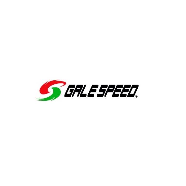 ZX-25R/SEi20`21Nj tgp 300-17 S[h iTYPE-GP1Sj GALE SPEEDiQCXs[hj