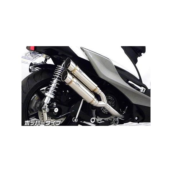 Ag~bNcC}t[ |bp[^Cv ECYEBiWirusWinj VOiXXiCYGNUS-Xj5^