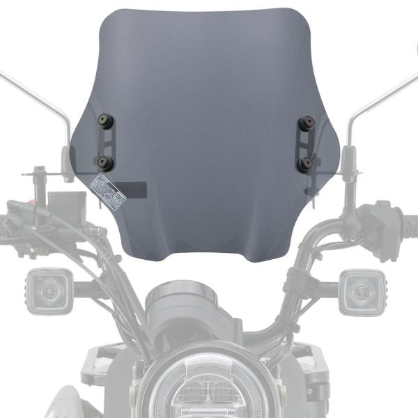 CT125n^[JuiJA55j EChV[hSS X[N DAYTONAifCgij