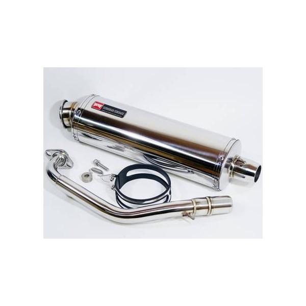 シグナスX（CYGNUS-X） パワーサイレントマフラー ステンレス WORLD