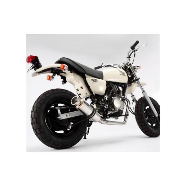 APE50iGCvjCWFNVԁiJBH-AC16j SS300\jbN}t[ _E^Cv BEAMSir[Xj