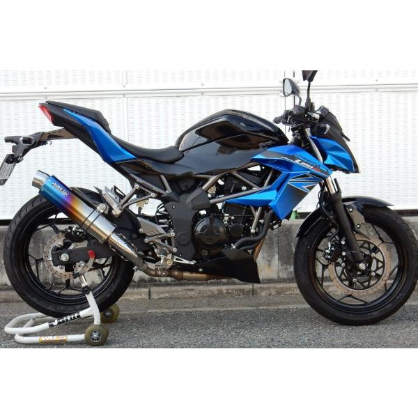 Z250SL AGL][Xg Eh^CviXbvI}t[jXeX/ĂF`^ WR'Si_uA[Yj