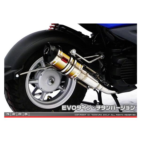 ZZR^Cv}t[ EVO^Cv `^o[W ASAKURAiqj r[EBYiBWS50jSA53J