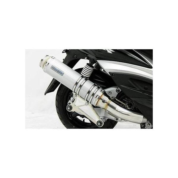 VOiXXi1^jSE12J AeBbg}t[ Vo[J[{dl ECYEBiWirusWinj