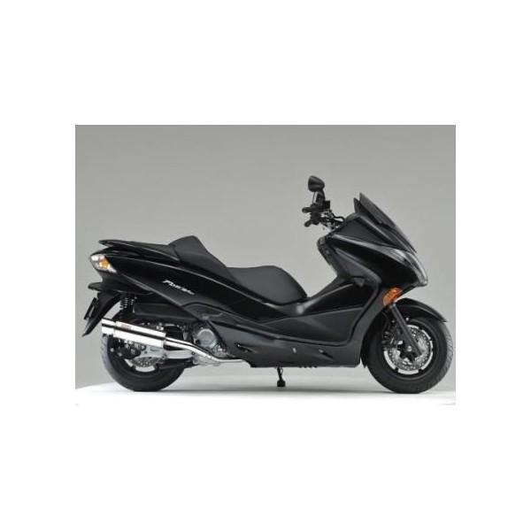 tHc@iFORZAjMF10 LenesiClXjXeX}t[ b\iROSSOj