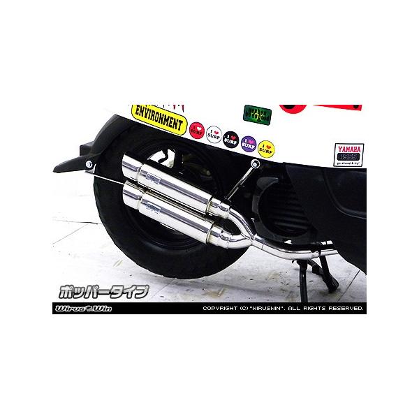 Ag~bNcC}t[ |bp[^Cv XeX ECYEBiWirusWinj {bNXiVOXjSA31J