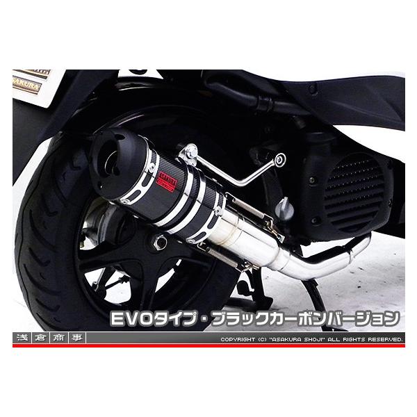 ZZR^Cv}t[ EVO^Cv ubNJ[{o[W ASAKURAiqj WOiSA55Jj/WOZRiSA56Jj